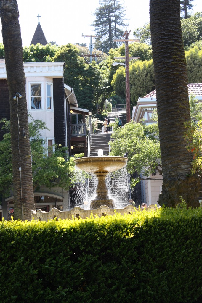 The only photo I have of downtown Sausalito (Oh, don't you start complaining). 