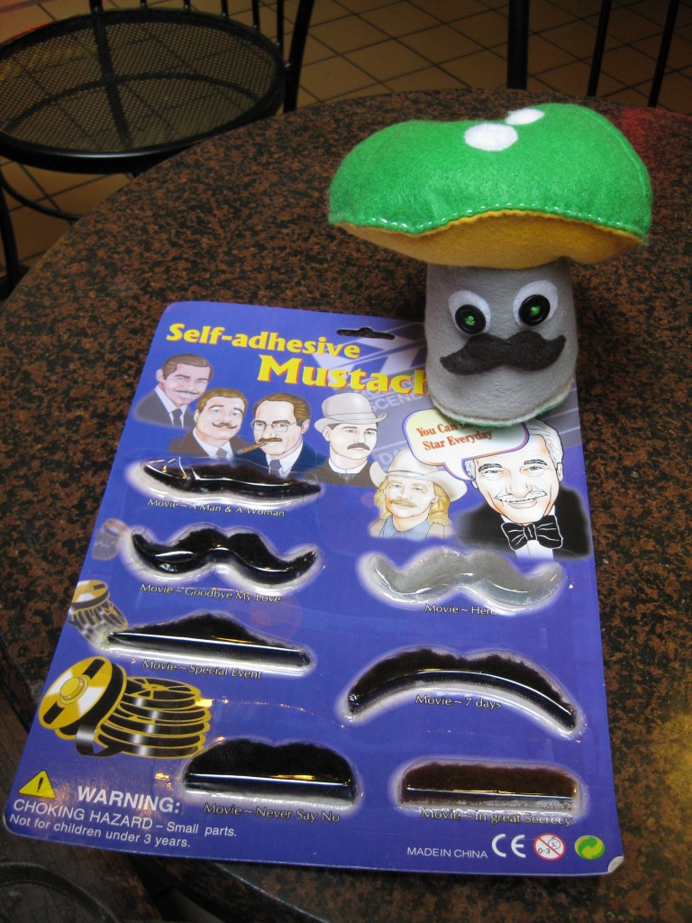 She brought me a multi-pack of fake mustaches. I made her daughter a (slightly wonky) mustachioed mushroom.